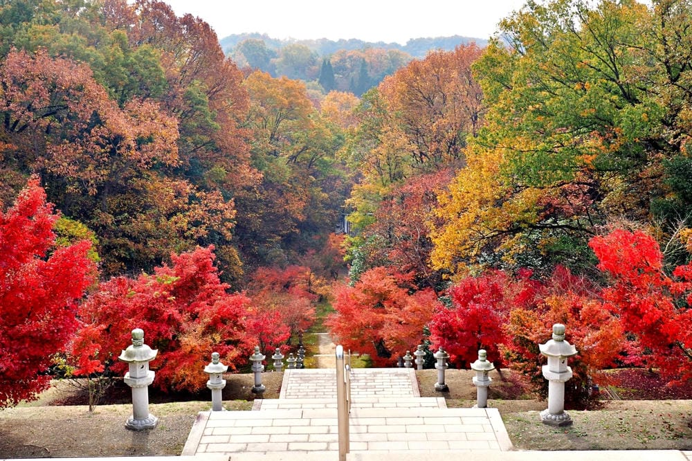 【廣島縣】神勝寺、洸庭-禪與庭的美術館:建築大師藤森照信,名 【廣島縣】神勝寺、洸庭-禪與庭的美術館:建築大師藤森照信,名