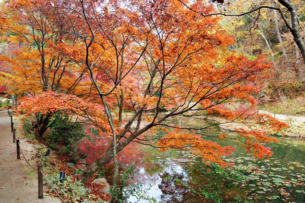 【廣島縣】神勝寺、洸庭-禪與庭的美術館:建築大師藤森照信,名 【廣島縣】神勝寺、洸庭-禪與庭的美術館:建築大師藤森照信,名