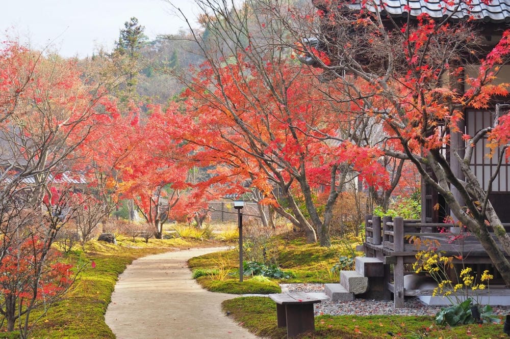 【廣島縣】神勝寺、洸庭-禪與庭的美術館:建築大師藤森照信,名 【廣島縣】神勝寺、洸庭-禪與庭的美術館:建築大師藤森照信,名