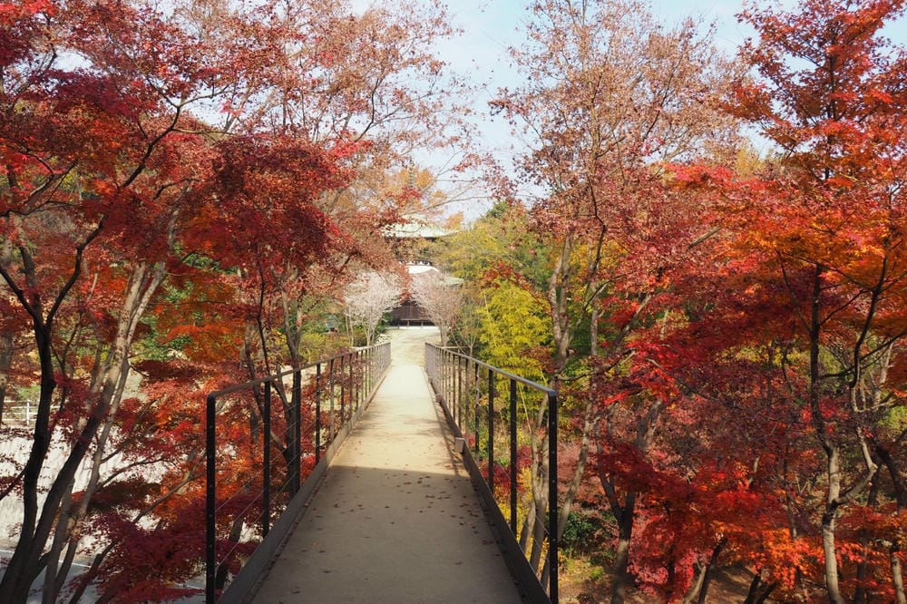 【廣島縣】神勝寺、洸庭-禪與庭的美術館:建築大師藤森照信,名 【廣島縣】神勝寺、洸庭-禪與庭的美術館:建築大師藤森照信,名