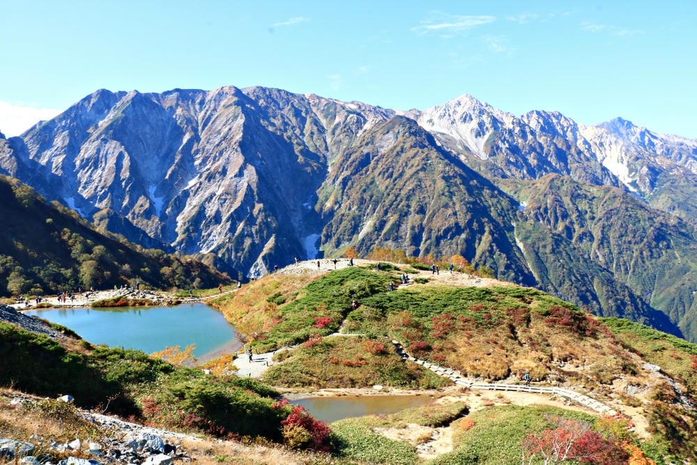 【長野縣｜白馬】八方尾根自然研究路、八方池～白馬連峰環抱，通