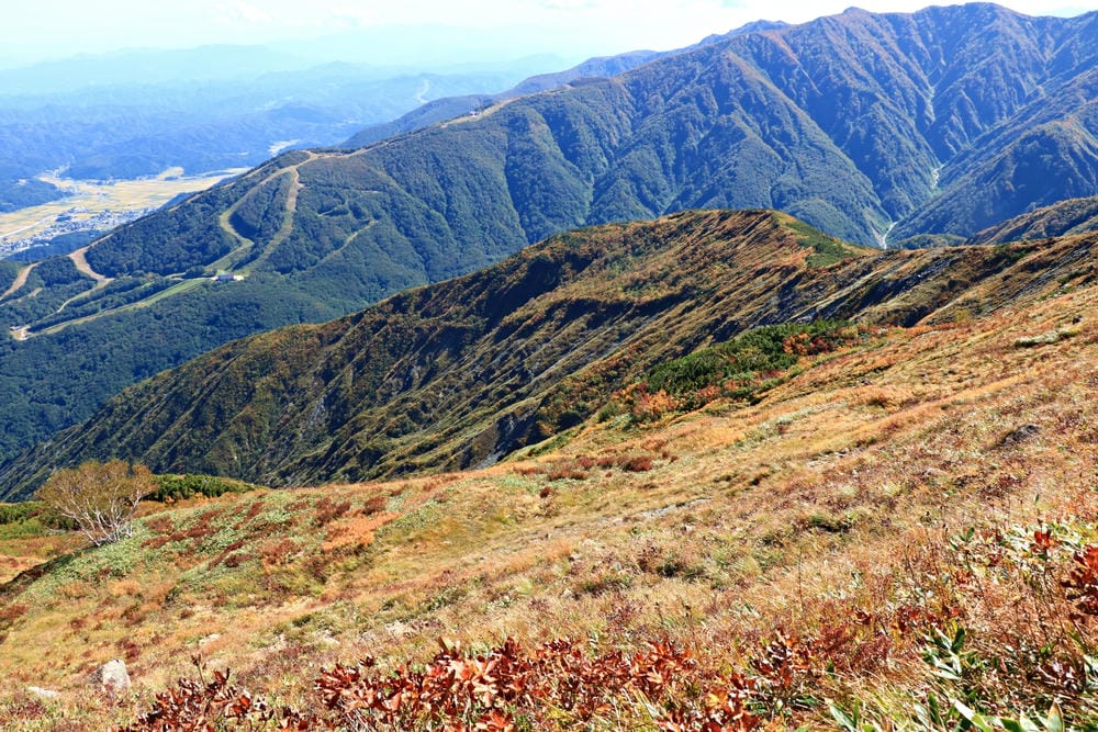 【長野縣｜白馬】八方尾根自然研究路、八方池～白馬連峰環抱，通