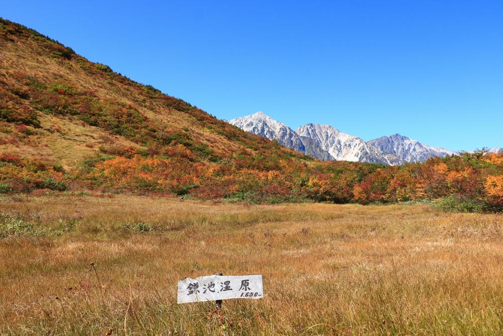 【長野縣｜白馬】八方尾根自然研究路、八方池～白馬連峰環抱，通