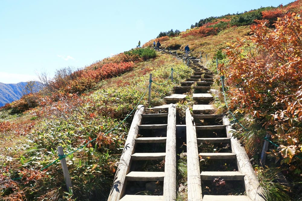 【長野縣｜白馬】八方尾根自然研究路、八方池～白馬連峰環抱，通