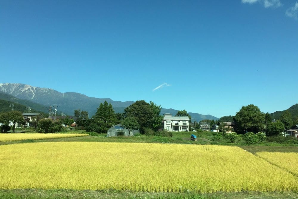 【長野縣｜白馬】八方尾根自然研究路、八方池～白馬連峰環抱，通
