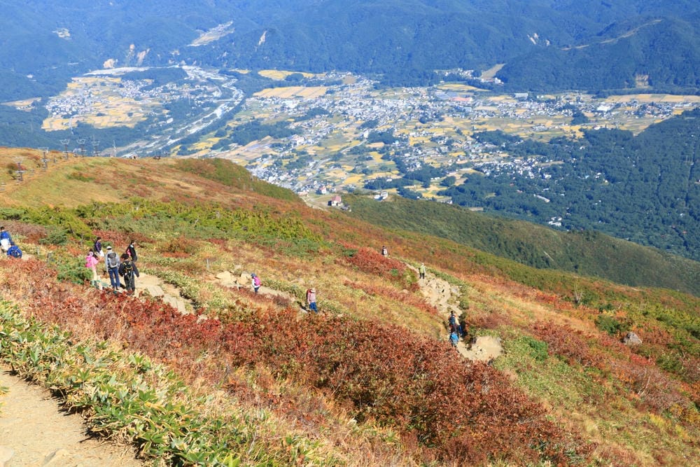 【長野縣｜白馬】八方尾根自然研究路、八方池～白馬連峰環抱，通