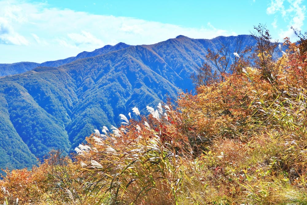 【長野縣｜白馬】八方尾根自然研究路、八方池～白馬連峰環抱，通