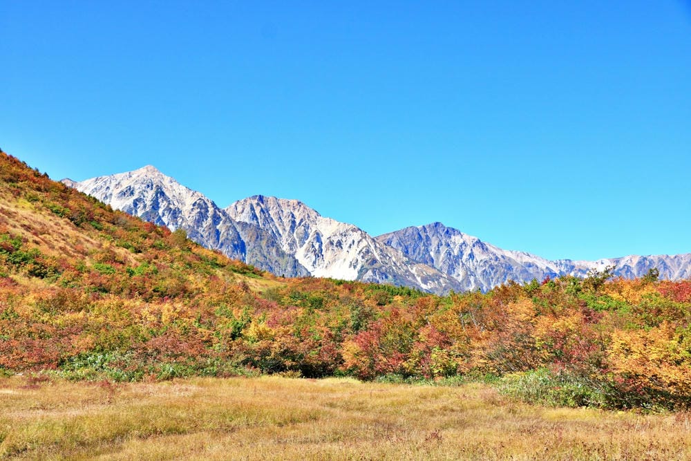 【長野縣｜白馬】八方尾根自然研究路、八方池～白馬連峰環抱，通