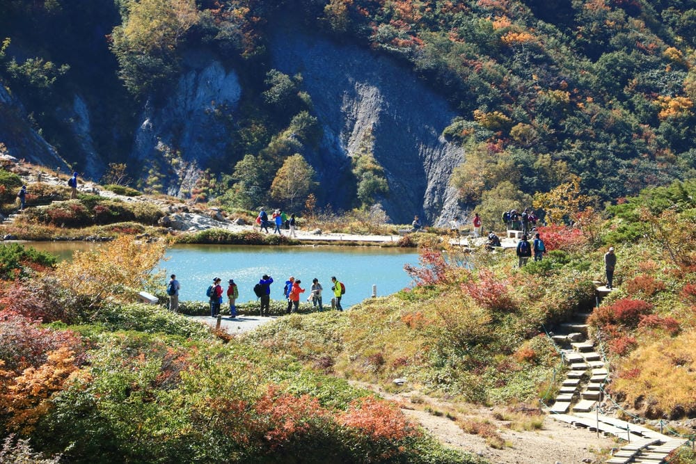 【長野縣｜白馬】八方尾根自然研究路、八方池～白馬連峰環抱，通