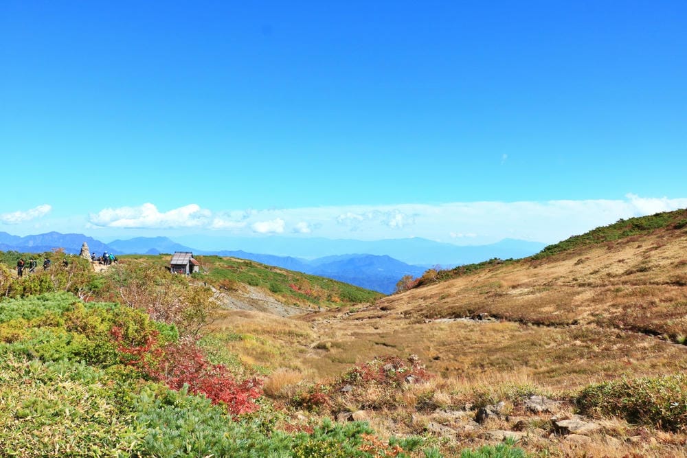 【長野縣｜白馬】八方尾根自然研究路、八方池～白馬連峰環抱，通