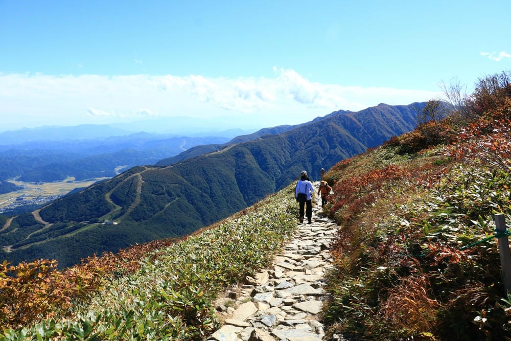 【長野縣｜白馬】八方尾根自然研究路、八方池～白馬連峰環抱，通