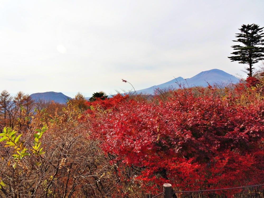 【長野縣|輕井澤】碓氷峠見晴台,站在長野-群馬兩縣交界點,眺 【長野縣|輕井澤】碓氷峠見晴台,站在長野-群馬兩縣交界點,眺
