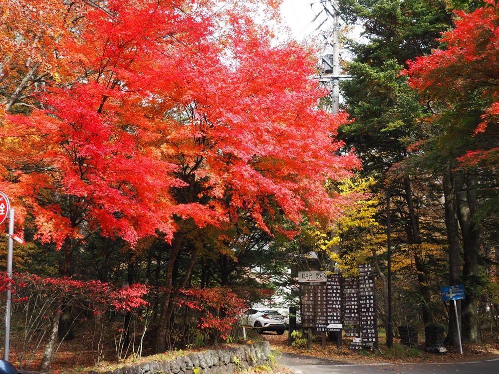 【長野縣|輕井澤】碓氷峠見晴台,站在長野-群馬兩縣交界點,眺 【長野縣|輕井澤】碓氷峠見晴台,站在長野-群馬兩縣交界點,眺