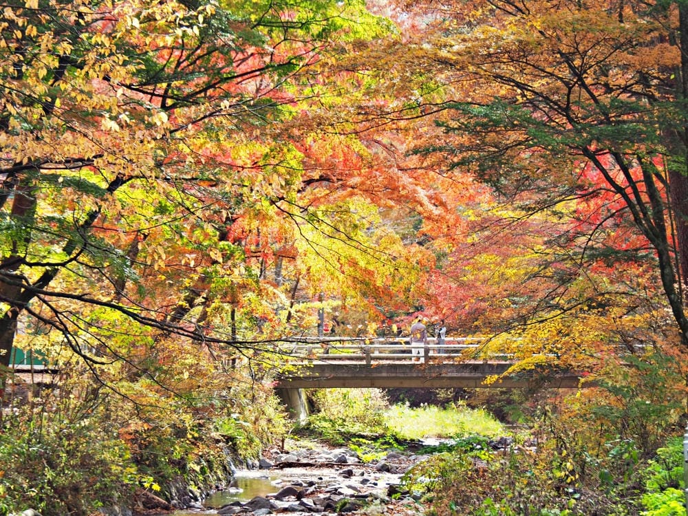 【長野縣|輕井澤】碓氷峠見晴台,站在長野-群馬兩縣交界點,眺 【長野縣|輕井澤】碓氷峠見晴台,站在長野-群馬兩縣交界點,眺