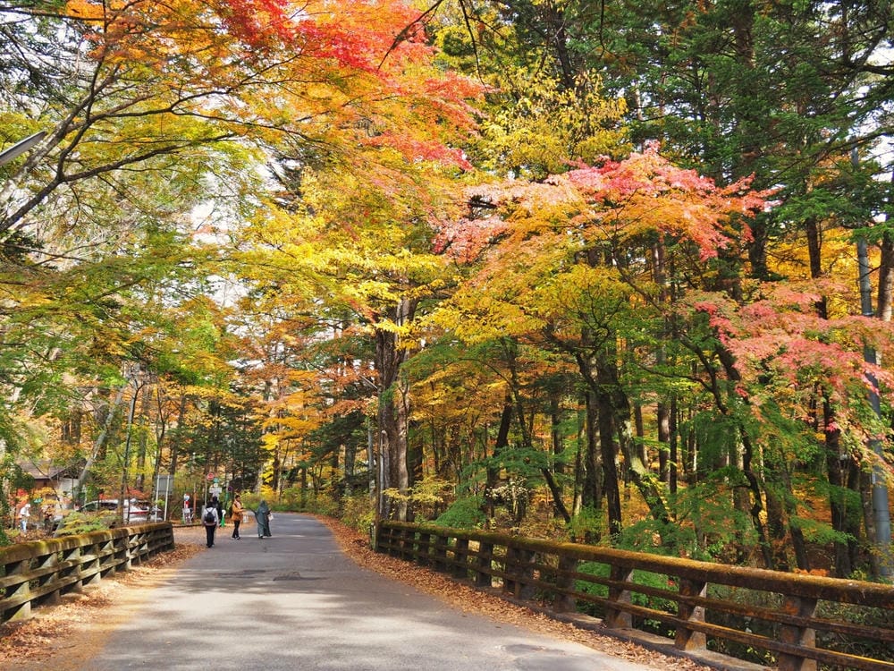 【長野縣|輕井澤】碓氷峠見晴台,站在長野-群馬兩縣交界點,眺 【長野縣|輕井澤】碓氷峠見晴台,站在長野-群馬兩縣交界點,眺