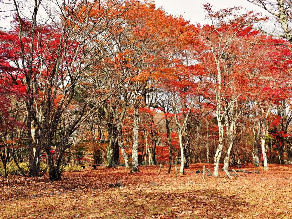 【長野縣|輕井澤】碓氷峠見晴台,站在長野-群馬兩縣交界點,眺 【長野縣|輕井澤】碓氷峠見晴台,站在長野-群馬兩縣交界點,眺