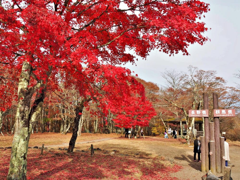 【長野縣|輕井澤】碓氷峠見晴台,站在長野-群馬兩縣交界點,眺 【長野縣|輕井澤】碓氷峠見晴台,站在長野-群馬兩縣交界點,眺