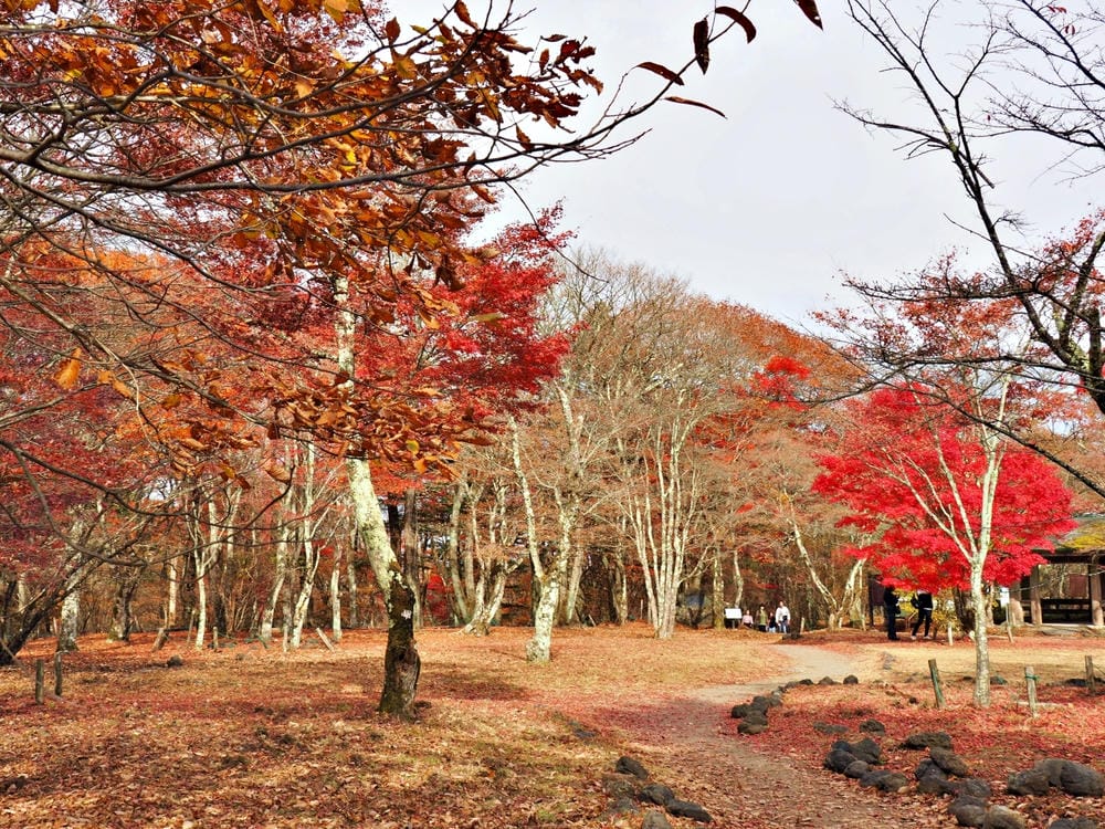 【長野縣|輕井澤】碓氷峠見晴台,站在長野-群馬兩縣交界點,眺 【長野縣|輕井澤】碓氷峠見晴台,站在長野-群馬兩縣交界點,眺