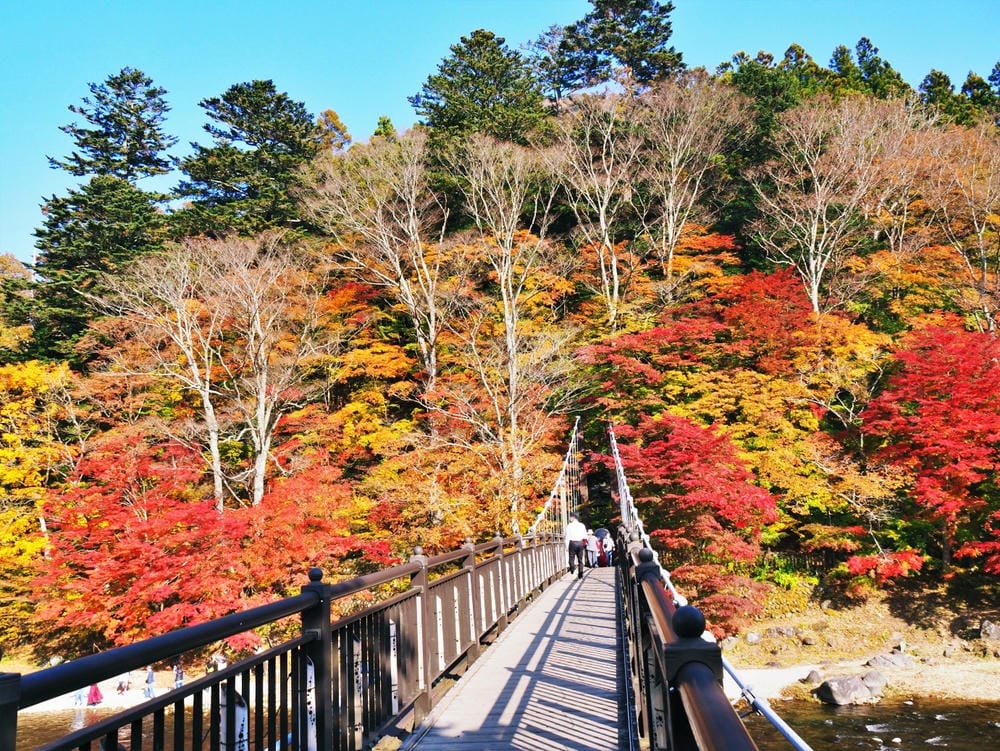 【栃木縣｜那須鹽原】一日巴士，漫遊秋日那須鹽原溫泉鄉的紅葉散