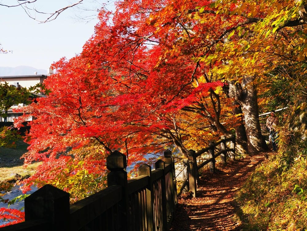 【栃木縣｜那須鹽原】一日巴士，漫遊秋日那須鹽原溫泉鄉的紅葉散