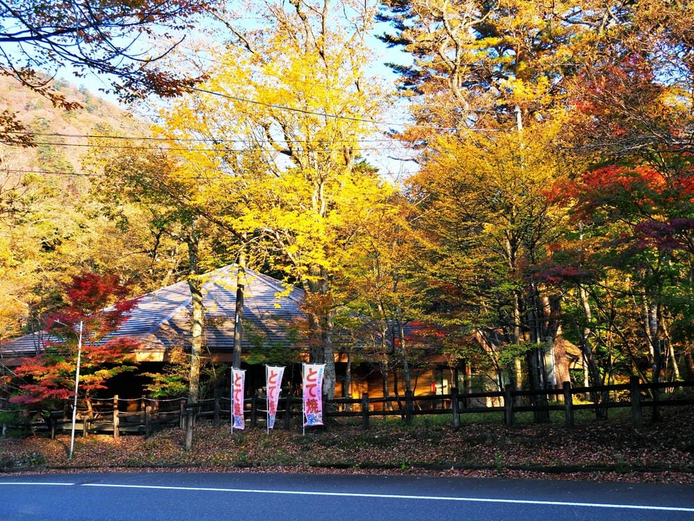 【栃木縣｜那須鹽原】一日巴士，漫遊秋日那須鹽原溫泉鄉的紅葉散