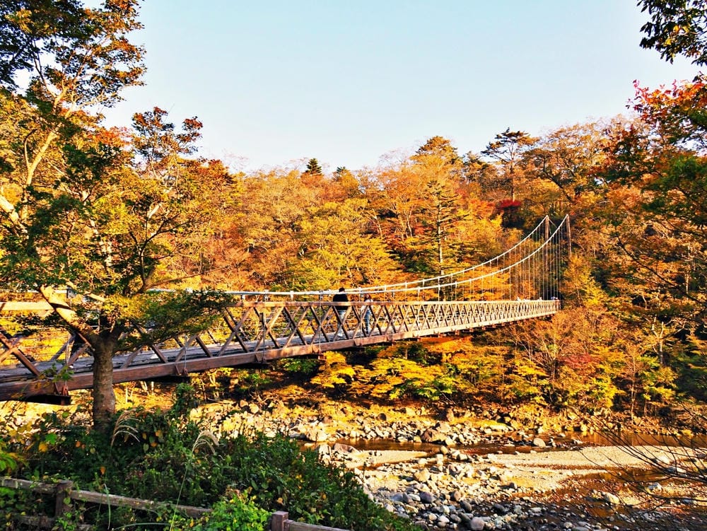 【栃木縣｜那須鹽原】一日巴士，漫遊秋日那須鹽原溫泉鄉的紅葉散