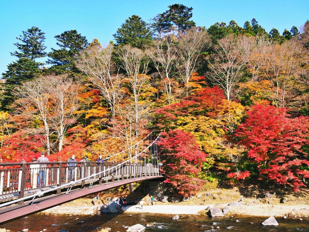 【栃木縣｜那須鹽原】一日巴士，漫遊秋日那須鹽原溫泉鄉的紅葉散