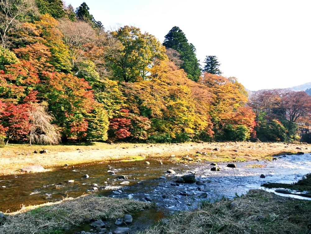 【栃木縣｜那須鹽原】一日巴士，漫遊秋日那須鹽原溫泉鄉的紅葉散