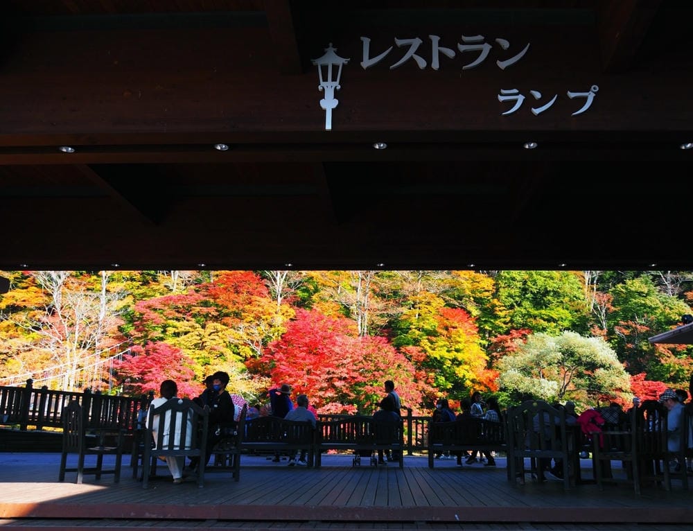 【栃木縣｜那須鹽原】一日巴士，漫遊秋日那須鹽原溫泉鄉的紅葉散