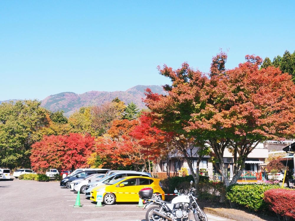 【栃木縣｜那須鹽原】一日巴士，漫遊秋日那須鹽原溫泉鄉的紅葉散