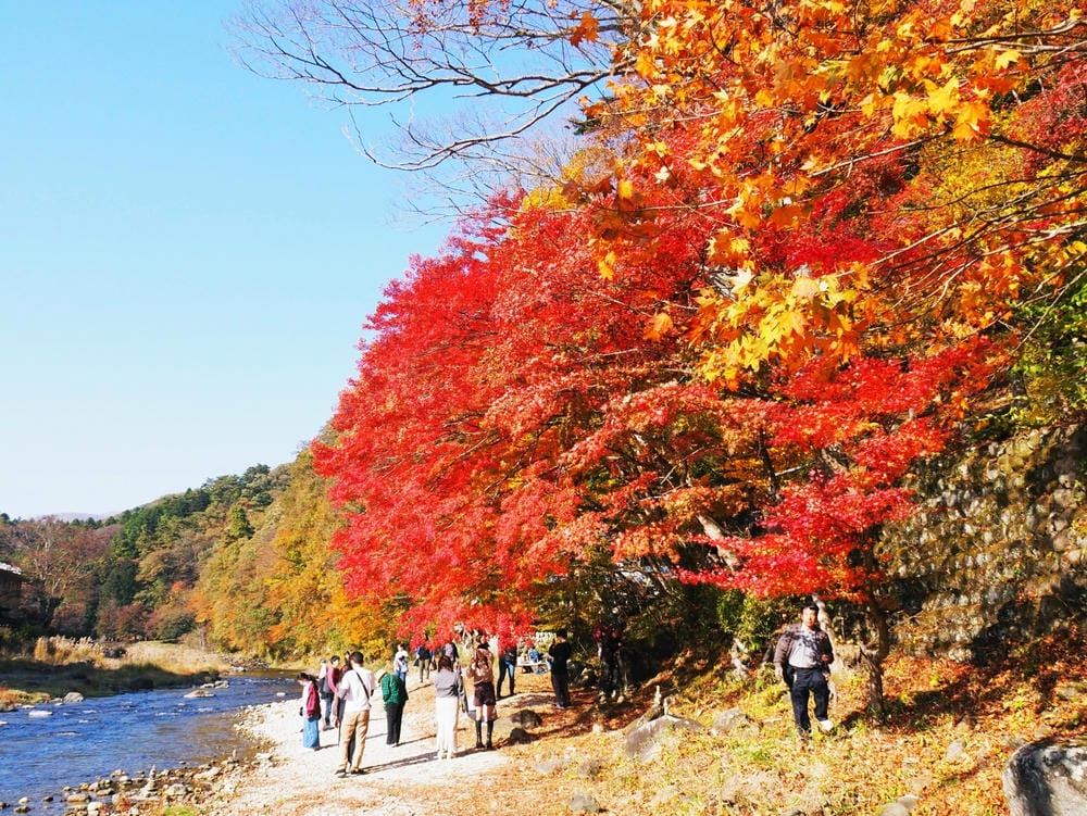 【栃木縣｜那須鹽原】一日巴士，漫遊秋日那須鹽原溫泉鄉的紅葉散