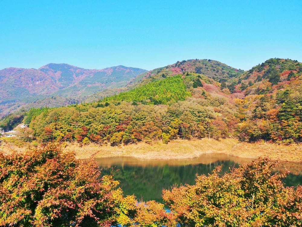 【栃木縣｜那須鹽原】一日巴士，漫遊秋日那須鹽原溫泉鄉的紅葉散