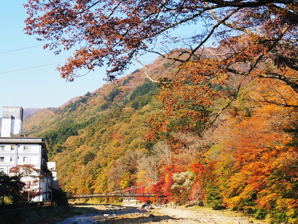 【栃木縣｜那須鹽原】一日巴士，漫遊秋日那須鹽原溫泉鄉的紅葉散