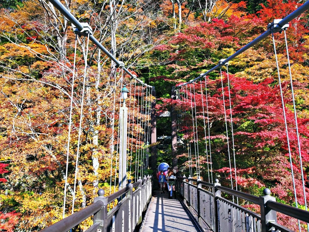 【栃木縣｜那須鹽原】一日巴士，漫遊秋日那須鹽原溫泉鄉的紅葉散