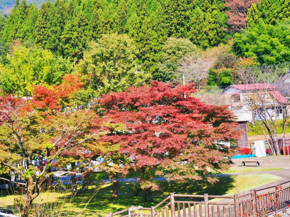 【栃木縣｜那須鹽原】一日巴士，漫遊秋日那須鹽原溫泉鄉的紅葉散