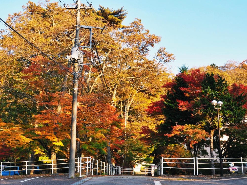 【栃木縣｜那須鹽原】一日巴士，漫遊秋日那須鹽原溫泉鄉的紅葉散