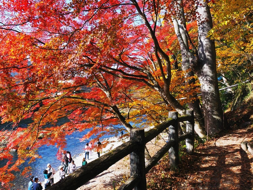 【栃木縣｜那須鹽原】一日巴士，漫遊秋日那須鹽原溫泉鄉的紅葉散