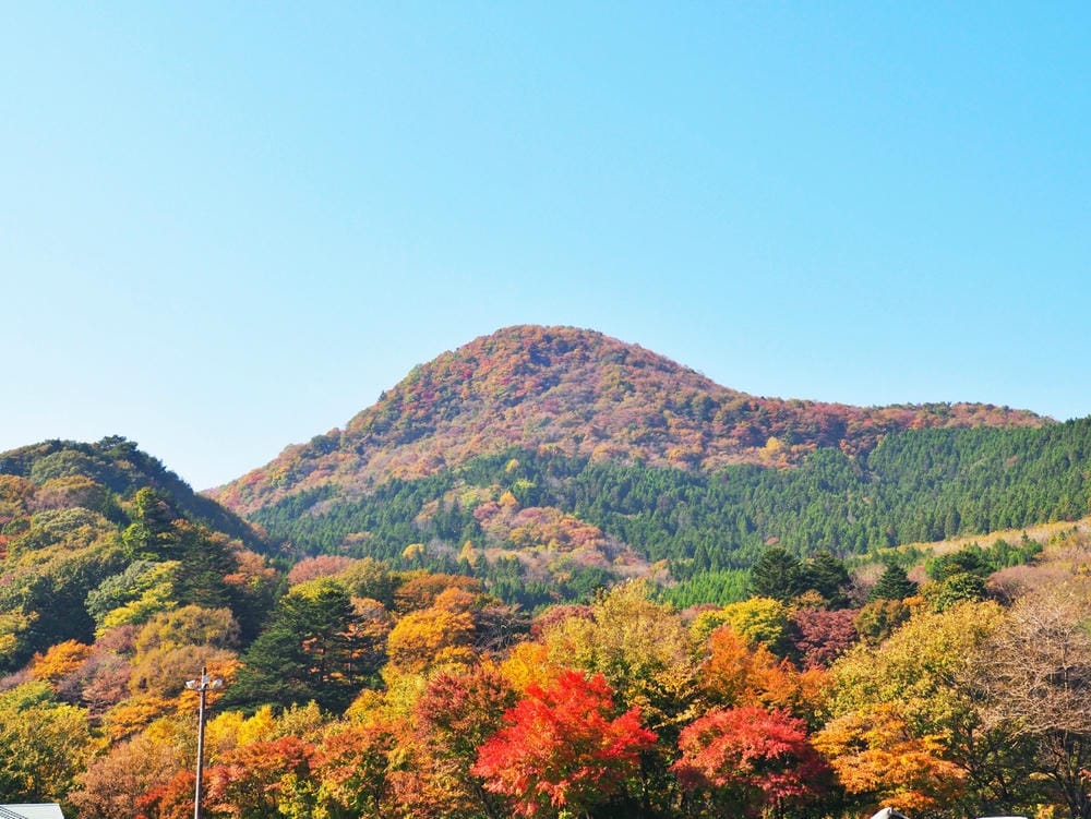 【栃木縣｜那須鹽原】一日巴士，漫遊秋日那須鹽原溫泉鄉的紅葉散