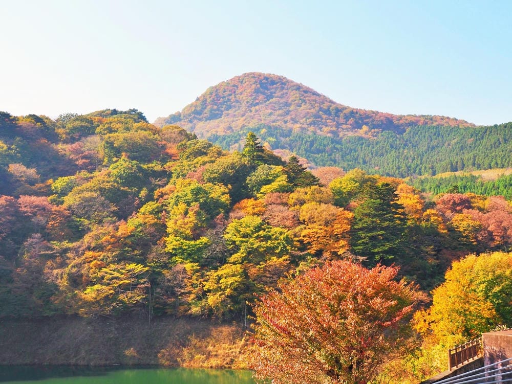 【栃木縣｜那須鹽原】一日巴士，漫遊秋日那須鹽原溫泉鄉的紅葉散