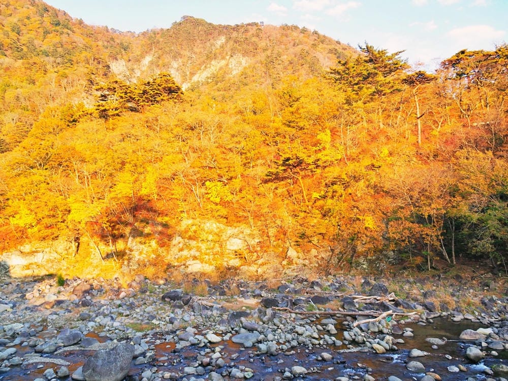 【栃木縣｜那須鹽原】一日巴士，漫遊秋日那須鹽原溫泉鄉的紅葉散