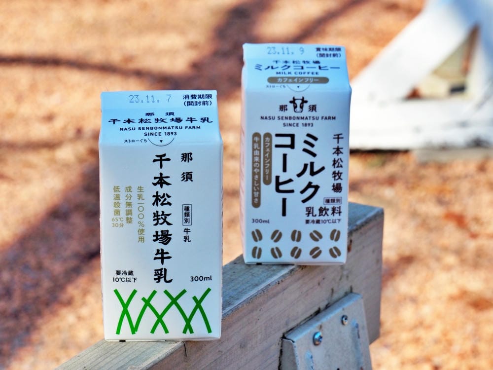 【栃木縣｜那須鹽原】一日巴士，漫遊秋日那須鹽原溫泉鄉的紅葉散