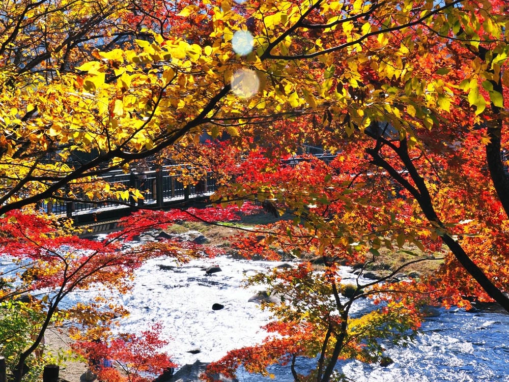 【栃木縣｜那須鹽原】一日巴士，漫遊秋日那須鹽原溫泉鄉的紅葉散