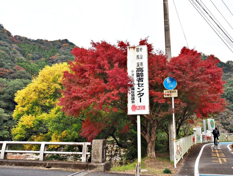 【大分縣 | 中津】楓葉耶馬自行車道：最美的紅葉自行車道，奇岩、紅葉、田園風光一次收錄
