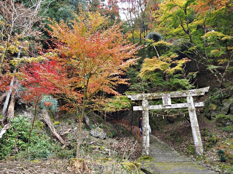 【大分縣 | 中津】楓葉耶馬自行車道：最美的紅葉自行車道，奇岩、紅葉、田園風光一次收錄