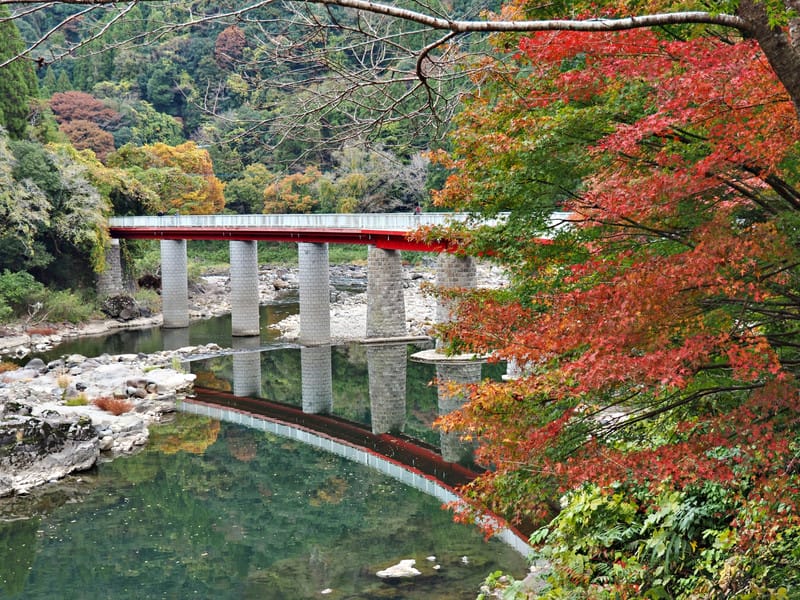 【大分縣 | 中津】楓葉耶馬自行車道：最美的紅葉自行車道，奇岩、紅葉、田園風光一次收錄