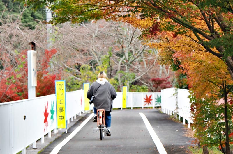 【大分縣 | 中津】楓葉耶馬自行車道：最美的紅葉自行車道，奇岩、紅葉、田園風光一次收錄