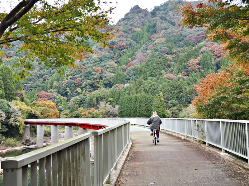 【大分縣 | 中津】楓葉耶馬自行車道：最美的紅葉自行車道，奇岩、紅葉、田園風光一次收錄