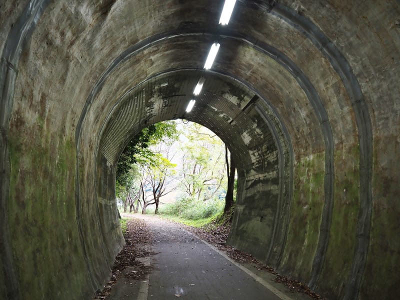 【大分縣 | 中津】楓葉耶馬自行車道：最美的紅葉自行車道，奇岩、紅葉、田園風光一次收錄