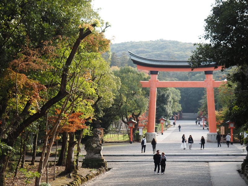【大分縣 | 宇佐市】宇佐神宮：日本八幡宮總本宮、能量最強的秘密就在社境裡，還是CNN票選日本最美31處之一
