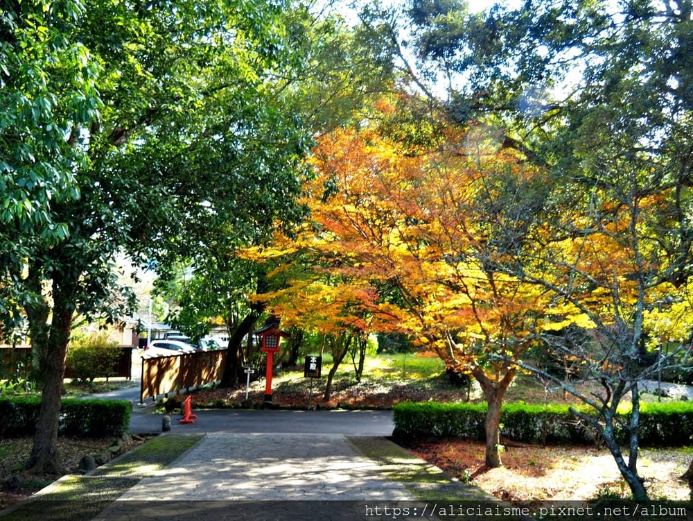 【大分縣 | 宇佐市】宇佐神宮：USA裡的日本八幡宮總本宮&